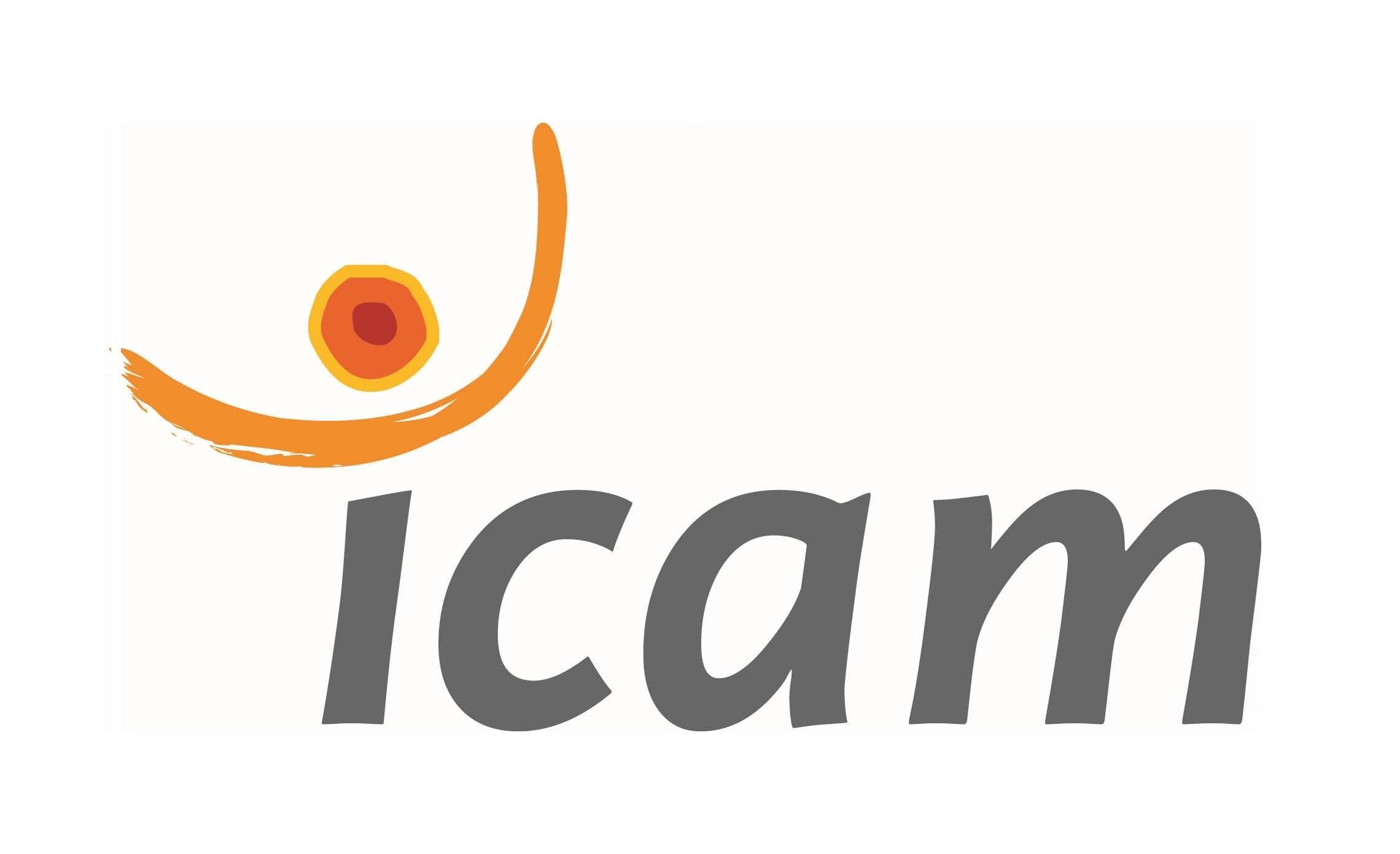 Icam - Grande école d'ingénieurs généraliste à Paris, Lille, Nantes,  Toulouse, Vannes et la Roche-sur-Yon