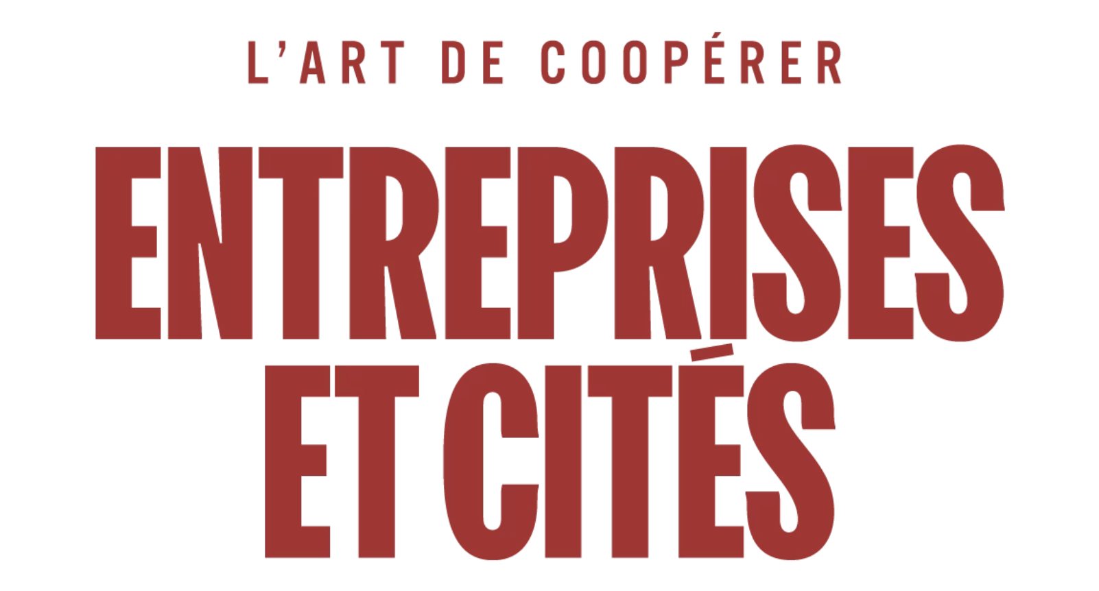 The managerial framework of leaders in the north of France on organizational practices and their impacts on the city