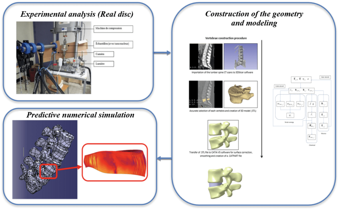 BIOMOD