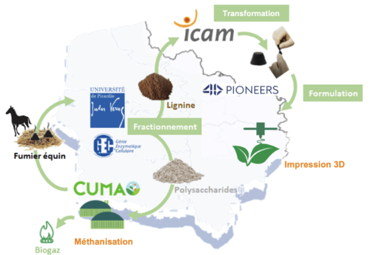 Modification of lignin extracted from equine manure for the design of materials dedicated to 3D additive manufacturing