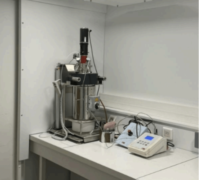 Reactor berghof BR4000 gmaier
